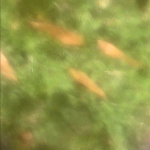 Meet your Posher, Brad